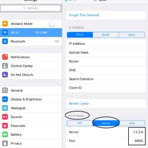 Iphone Ipad Proxy Setting 3